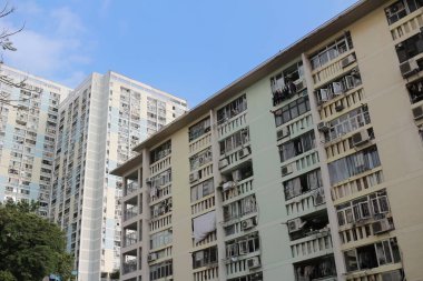 14 Ekim 2023 'te Wah Fu Estate Hong Kong' un ortasındaki halk vahası.