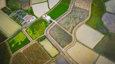 Long Valley, Hong Kong 'un Doğal Peyzaj 22 Ekim 2023 Verdant Haven' ı