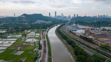 22 Ekim 2023 Sheung Shui 'deki Shek Sheung Nehri.