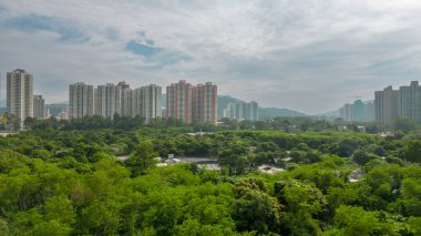 Kuzey Bölgesi, Hong Kong 'un Doğal Güzelliğini Keşfediyor Kuzey Kalbi 22 Ekim 2023