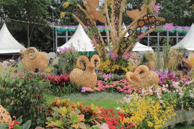 Çiçek göster hong kong Victoria Parkı'nda