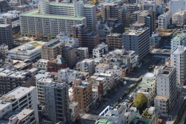 Kuleden Tokyo silueti. Sumida. Tokyo mu? Japonya. 30 Kasım 2023