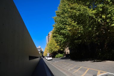 30 Kasım 2023 Tokyo Üniversitesi, Japonya manzarası