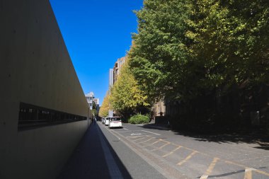 30 Kasım 2023 Tokyo Üniversitesi, Japonya manzarası