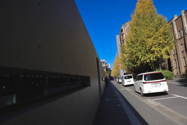 30 Kasım 2023 Tokyo Üniversitesi, Japonya manzarası