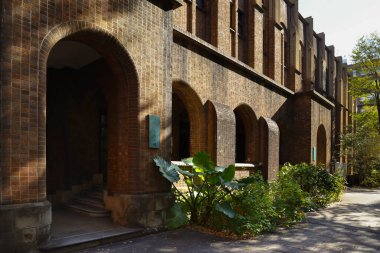 30 Kasım 2023 Tokyo Üniversitesi, Japonya manzarası