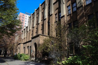 30 Kasım 2023 Tokyo Üniversitesi, Japonya manzarası