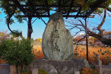 Ueno Park 'taki Benten do Tapınağı. 30 Kasım 2023.