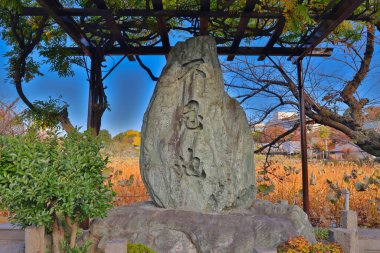 Ueno Park 'taki Benten do Tapınağı. 30 Kasım 2023.