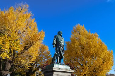 Ueno Parkı Saigo Takamori heykeli ve sarı Gingo ağacı 30 Kasım 2023
