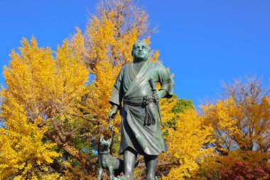 Tokyo Japon devlet adamı Saigo Takamori 'nin bronz heykeli 30 Kasım 2023