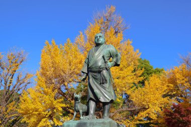Ueno Parkı Saigo Takamori heykeli ve sarı Gingo ağacı 30 Kasım 2023