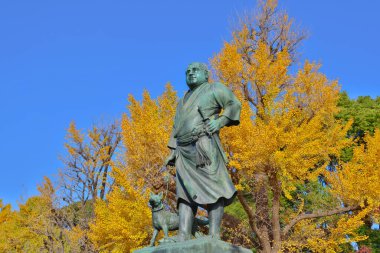 Tokyo Japon devlet adamı Saigo Takamori 'nin bronz heykeli 30 Kasım 2023