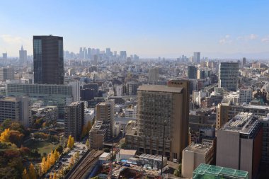 Bunkyo Civic Tower, Bunkyo ku, Tokyo, Japonya 30 Kasım 2023