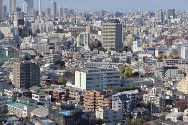Bunkyo Civic Tower, Bunkyo ku, Tokyo, Japonya 30 Kasım 2023