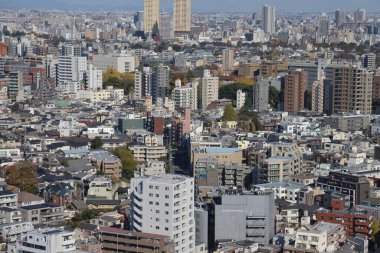 Bunkyo Civic Tower, Bunkyo ku, Tokyo, Japonya 30 Kasım 2023