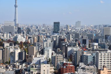 Bunkyo ku, Tokyo 'dan Kuzey Doğu' ya bakış 30 Kasım 2023