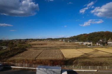 30 Kasım 2023 Mavi gökyüzü ve vahşi hayvan yaşamı ile engin yeşil manzara