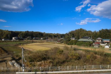 30 Kasım 2023 Mavi gökyüzü ve vahşi hayvan yaşamı ile engin yeşil manzara