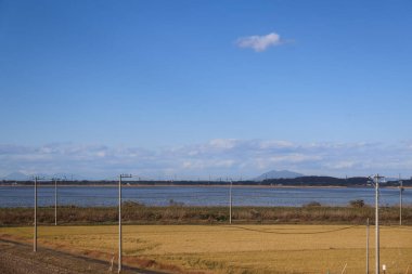 30 Kasım 2023 Mavi gökyüzü ve vahşi hayvan yaşamı ile engin yeşil manzara