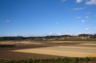 30 Kasım 2023 Mavi gökyüzü ve vahşi hayvan yaşamı ile engin yeşil manzara