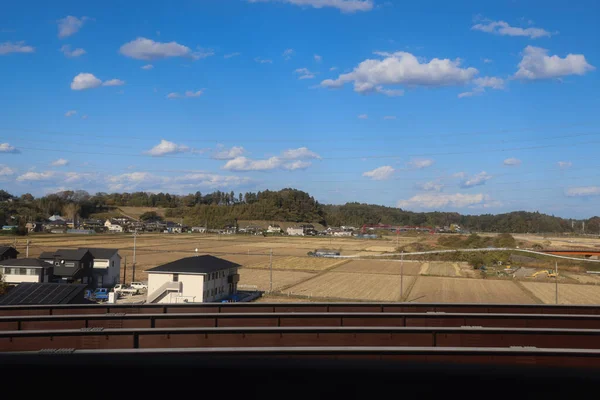 30 Kasım 2023 Mavi gökyüzü ve vahşi hayvan yaşamı ile engin yeşil manzara