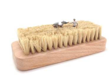 A person walking alone on a brush