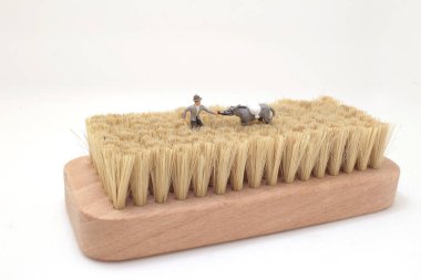 A person walking alone on a brush