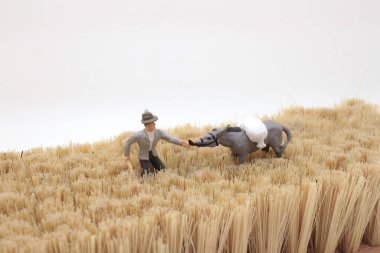 A person walking alone on a brush