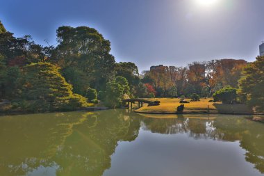 29 Kasım 2023 Mavi Gök ve Güneş Işıklı Huzurlu Kırsal Arazi