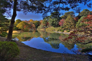 29 Kasım 2023 Mavi Gök ve Güneş Işıklı Huzurlu Kırsal Arazi