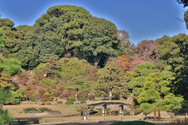 29 Kasım 2023 Tokyo, Japonya 'daki Rikugien Bahçesinin Sonbahar manzarası