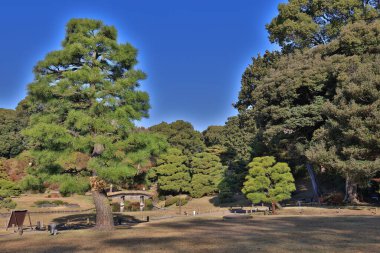 29 Kasım 2023 Tokyo, Japonya 'daki Rikugien Bahçesinin Sonbahar manzarası