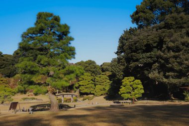 29 Kasım 2023 Tokyo, Japonya 'daki Rikugien Bahçesinin Sonbahar manzarası
