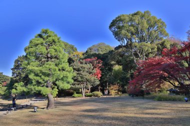 29 Kasım 2023 Tokyo, Japonya 'daki Rikugien Bahçesinin Sonbahar manzarası