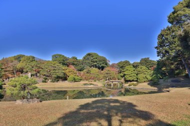 29 Kasım 2023 Mavi Gök ve Güneş Işıklı Huzurlu Kırsal Arazi