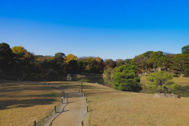 29 Kasım 2023 Mavi Gök ve Güneş Işıklı Huzurlu Kırsal Arazi