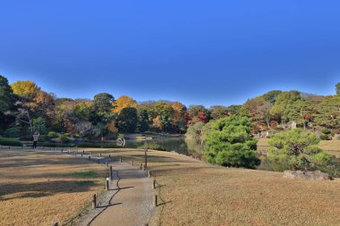 29 Kasım 2023 Berrak bir Yeşillik Huzur Suyunda Yansıtıldı