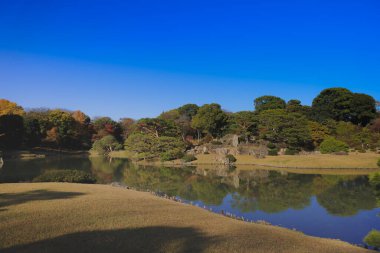 29 Kasım 2023 Berrak bir Yeşillik Huzur Suyunda Yansıtıldı