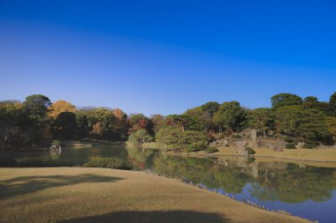 29 Kasım 2023 Berrak bir Yeşillik Huzur Suyunda Yansıtıldı
