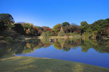 29 Kasım 2023 güzel bir Japon bahçesi, Rikugi en Gardens