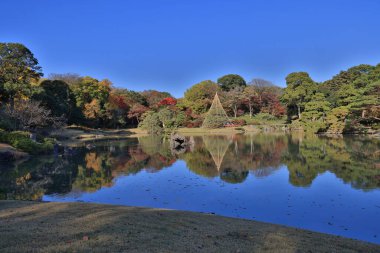 29 Kasım 2023 Mavi Gök ve Güneş Işıklı Huzurlu Kırsal Arazi