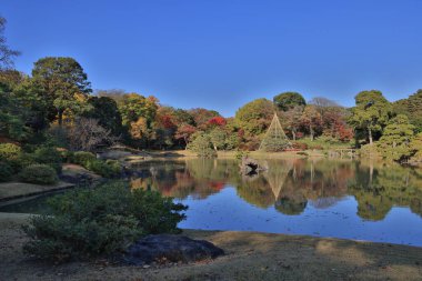 29 Kasım 2023 Berrak bir Yeşillik Huzur Suyunda Yansıtıldı