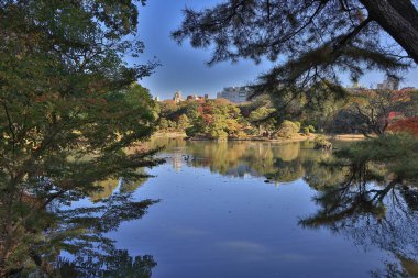 29 Kasım 2023 Mavi Gök ve Güneş Işıklı Huzurlu Kırsal Arazi