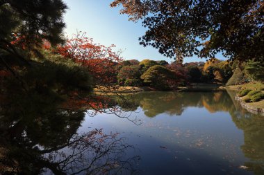 29 Kasım 2023 Berrak bir Yeşillik Huzur Suyunda Yansıtıldı