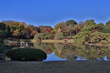29 Kasım 2023 güzel bir Japon bahçesi, Rikugi en Gardens