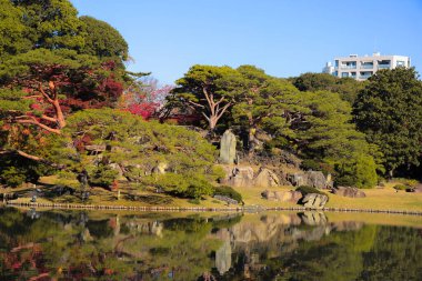 29 Kasım 2023 Berrak bir Yeşillik Huzur Suyunda Yansıtıldı