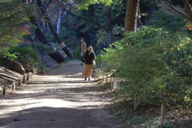 29 Kasım 2023. Sabah vakti orman yolunda yürüyüş.