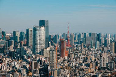 29 Kasım 2023 Tokyo Shibuya Scramble Meydanı 'nın çatısından görüldü.