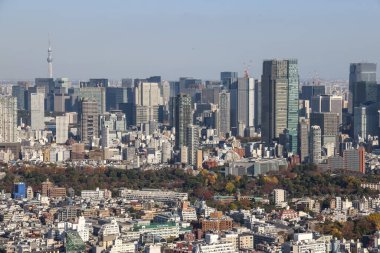 29 Kasım 2023 Mavi gökyüzü ile Tokyo 'nun hava görüntüsü